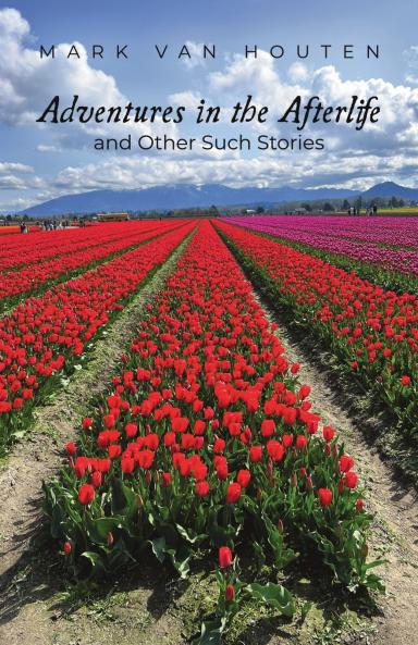 Adventures in the Afterlife and Other Such Stories
