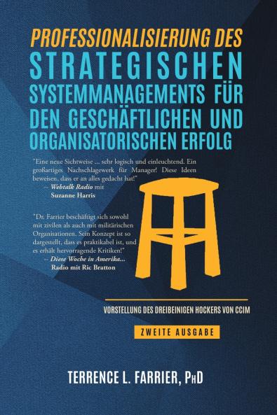 Professionalizing Strategic Systems Management for Business and Organizational Success