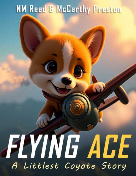 Flying Ace