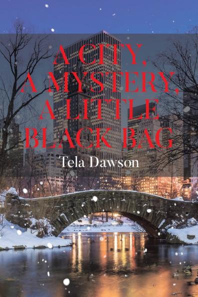 A City a Mystery a Little Black Bag