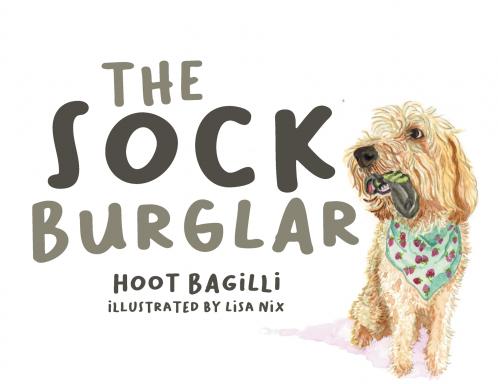 The Sock Burglar