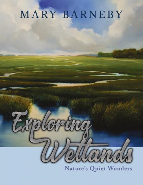 Exploring Wetlands