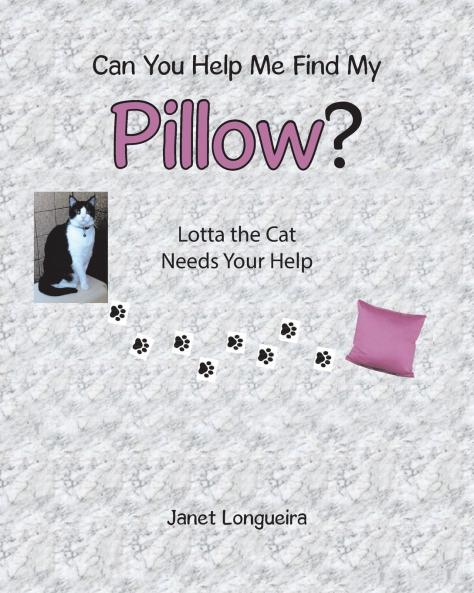 Can You Help Me Find My Pillow?