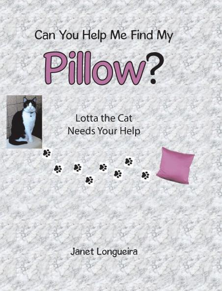Can You Help Me Find My Pillow?