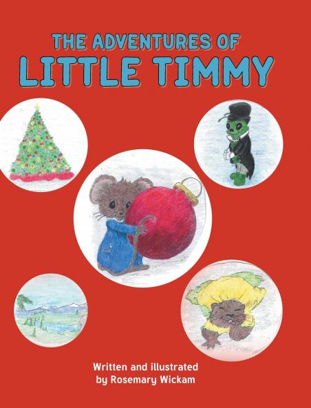 The Adventures of Little Timmy