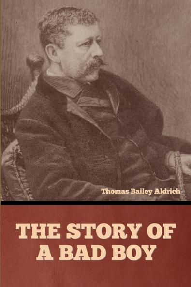 The Story of a Bad Boy