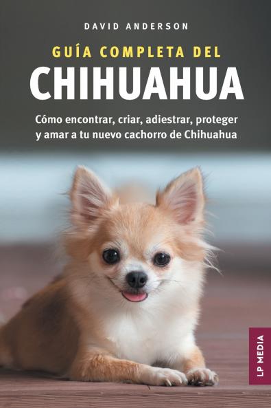 Guía Completa del Chihuahua