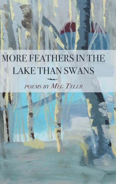 More Feathers in the Lake Than Swans