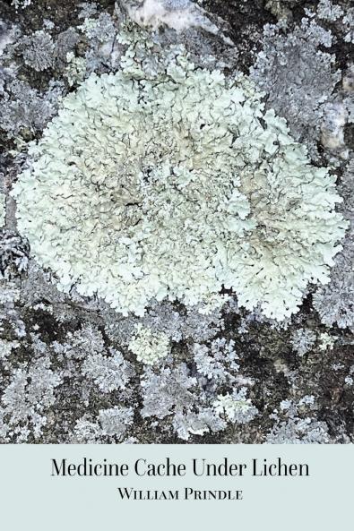Medicine Cache Under Lichen