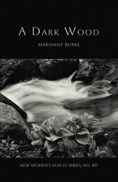 A Dark Wood