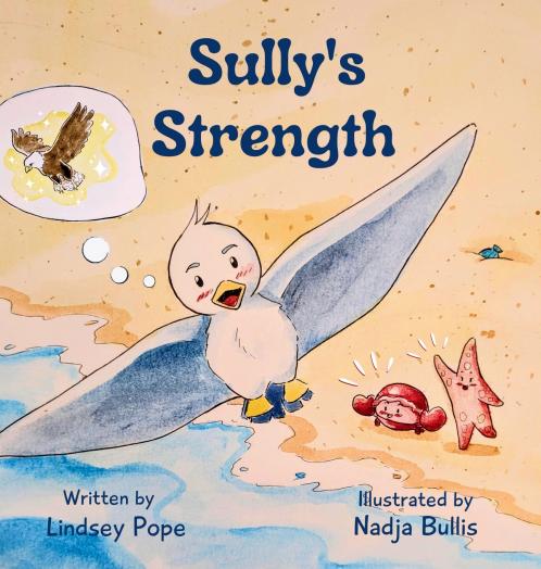 Sully's Strength