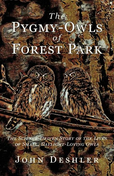 The Pygmy-Owls of Forest Park