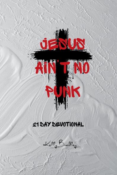 Jesus Ain't No Punk