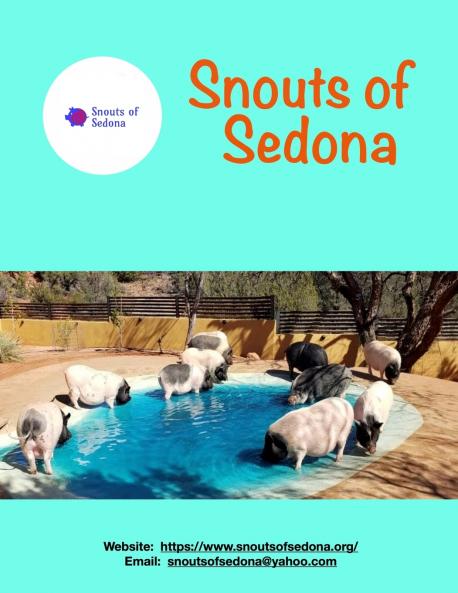 Snouts of Sedona