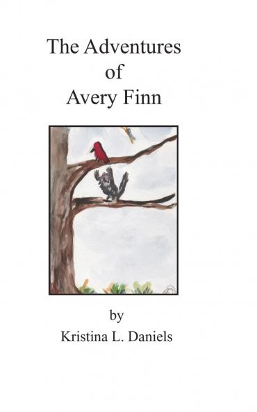 The Adventures of  Avery Finn