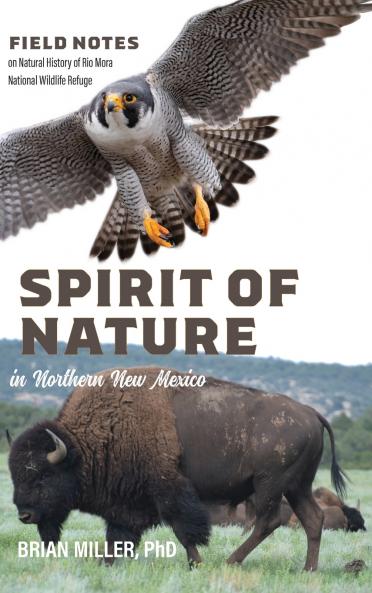 Spirit of Nature in Northern New Mexico