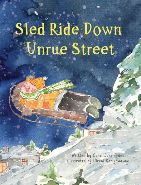 Sled Ride Down Unrue Street