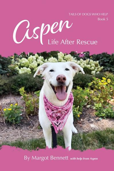 Aspen Life After Rescue