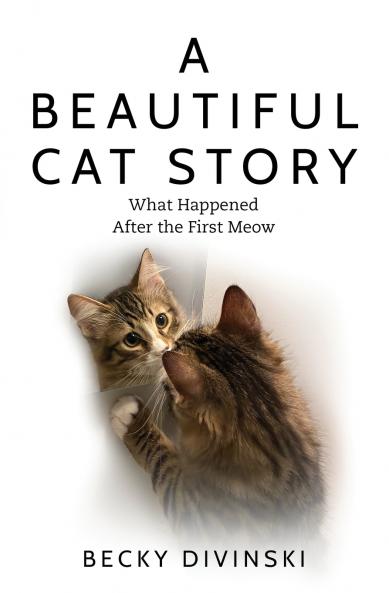 A Beautiful Cat Story