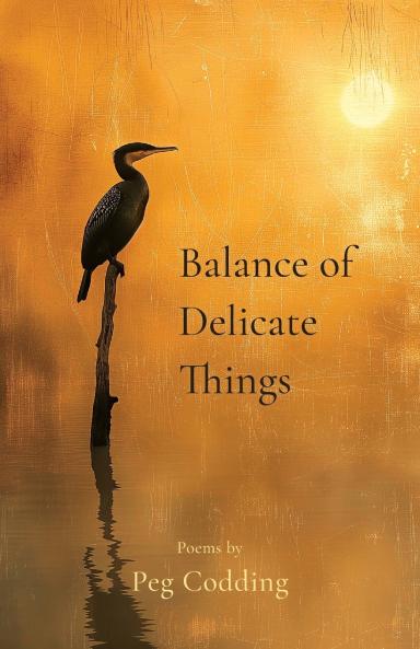 Balance of Delicate Things