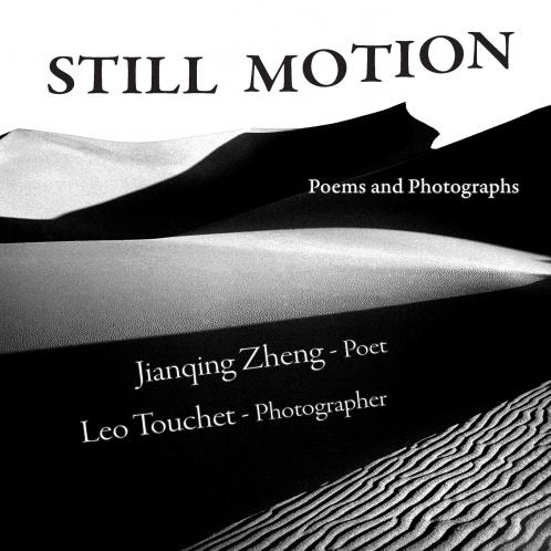 STILL MOTION