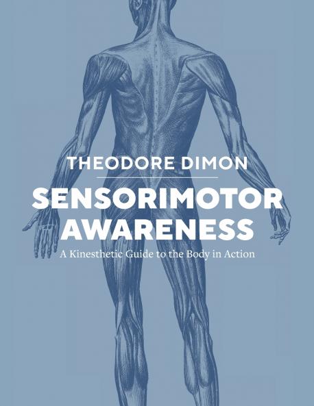 Sensorimotor Awareness