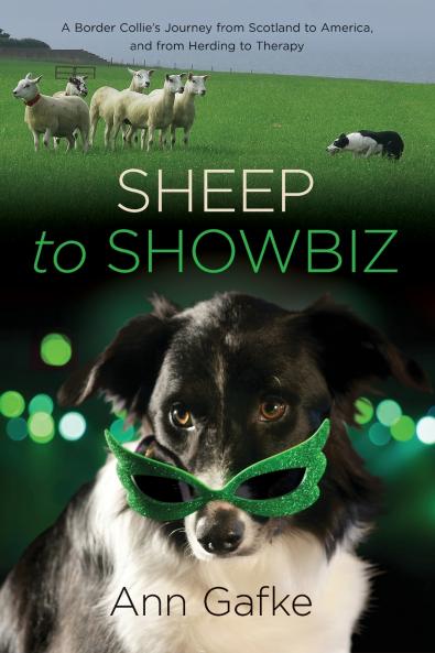 Sheep to Showbiz