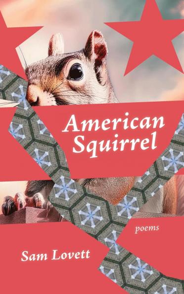 American Squirrel