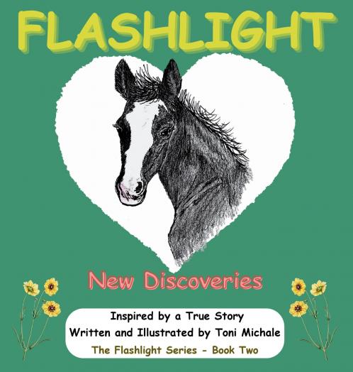 Flashlight - New Discoveries
