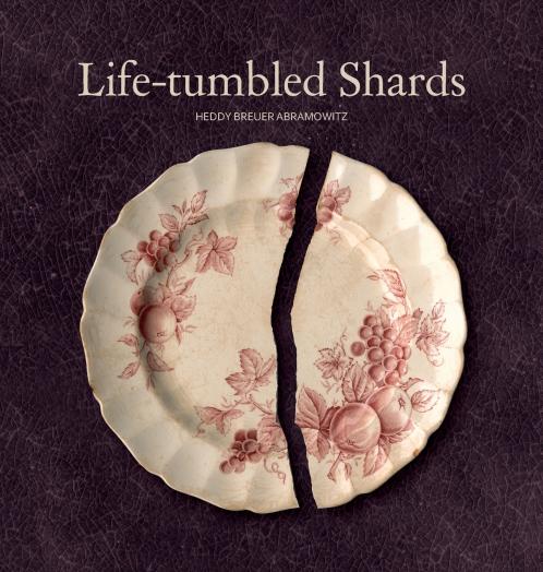 Life-Tumbled Shards