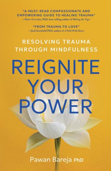 Reignite Your Power