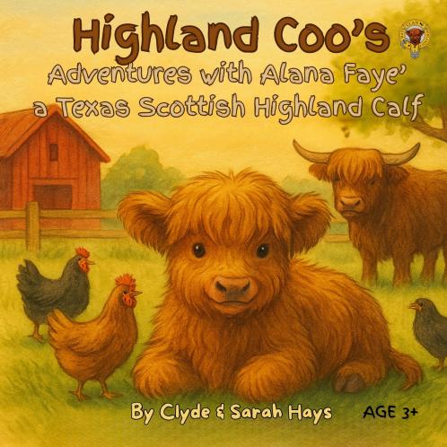 Highland Coo's