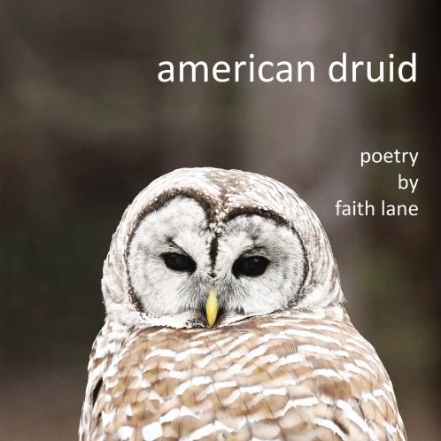 american druid