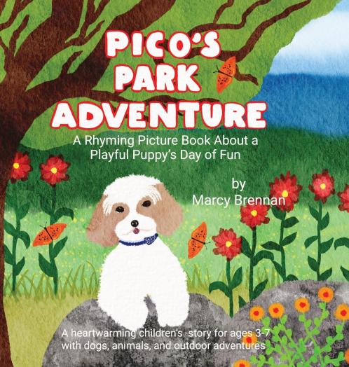 Pico's Park Adventure