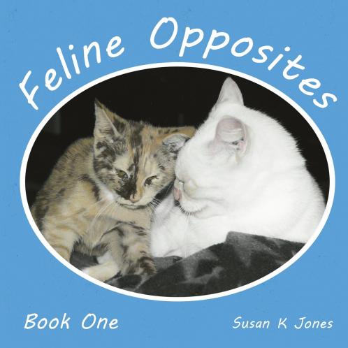 Feline Opposites Book One