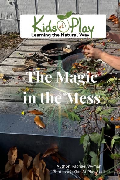 The Magic in My Mess