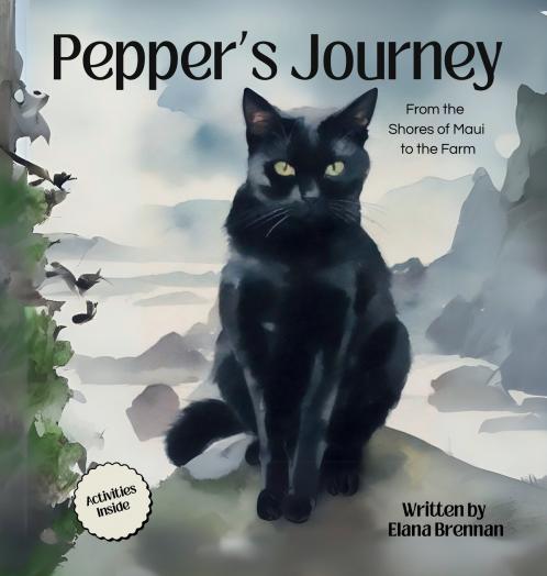 Pepper's Journey