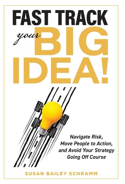 Fast Track Your Big Idea! Navigate Risk Move People to Action and Avoid Your Strategy Going Off Course