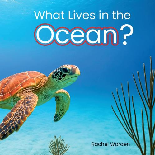 What Lives in the Ocean