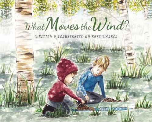 What Moves the Wind?