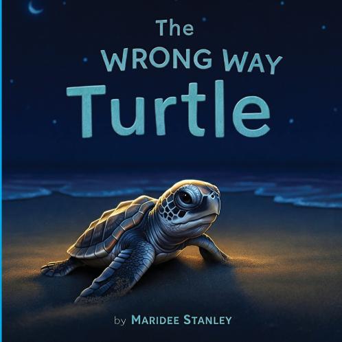 The Wrong Way Turtle