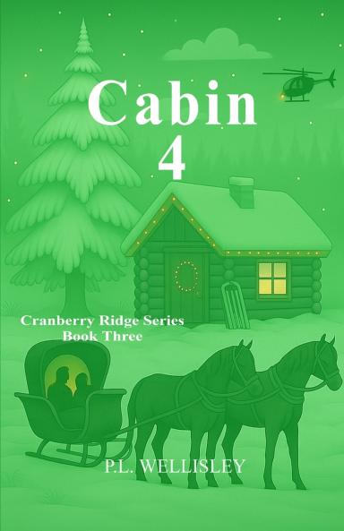 Cabin 4