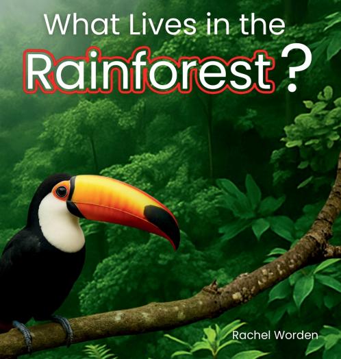 What Lives in the Rainforest?