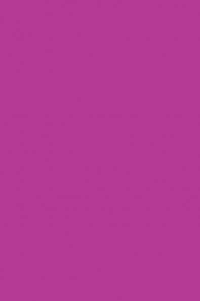 Diário De Um Imigrante