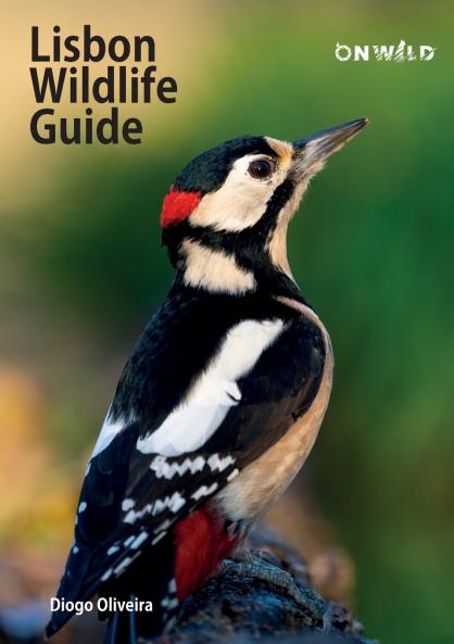 Lisbon Wildlife Guide