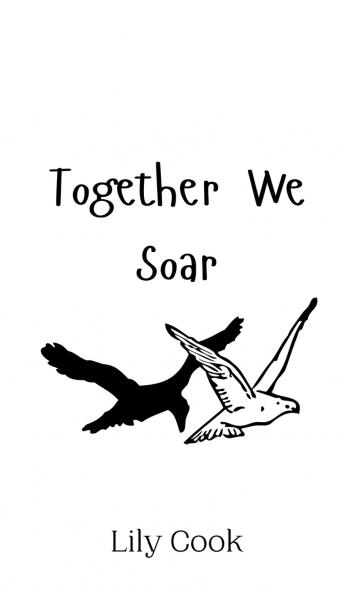 Together We Soar