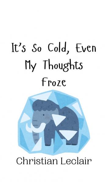 It's So Cold Even My Thoughts Froze