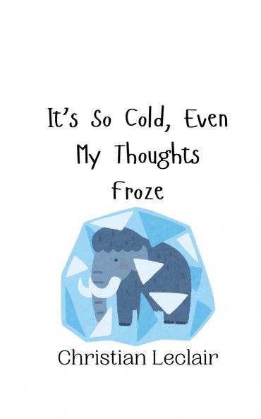 It's So Cold Even My Thoughts Froze