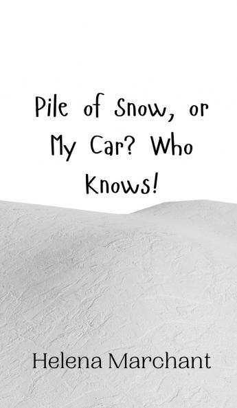 Pile of Snow or My Car? Who Knows!