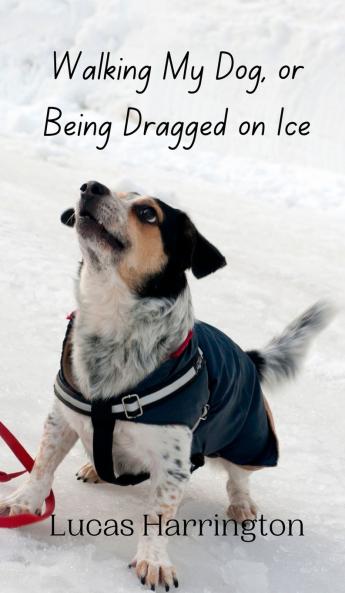 Walking My Dog or Being Dragged on Ice